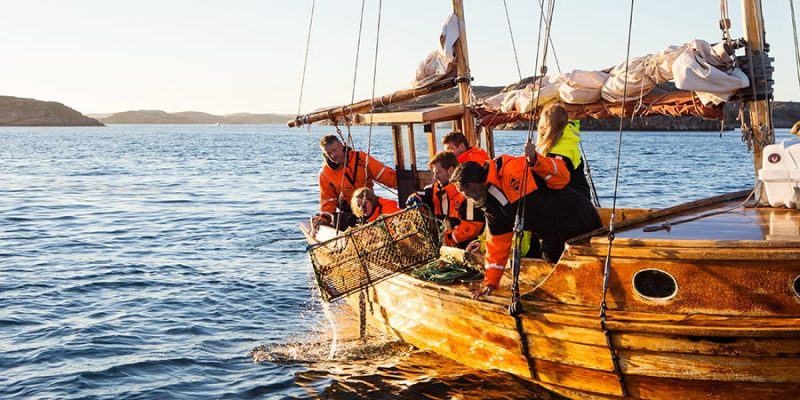 Vissen-voor-de-kust-in-Bohuslan-Zweden