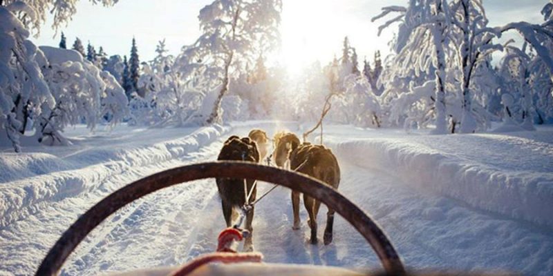 Huskytocht-in-Lapland-in-winter-wonderland