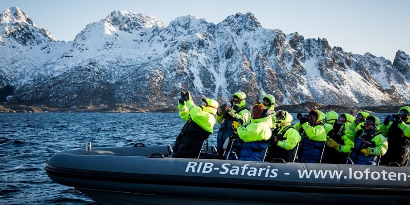 Safari-nature-avec-zodiac-dans-les-îles-Lofoten