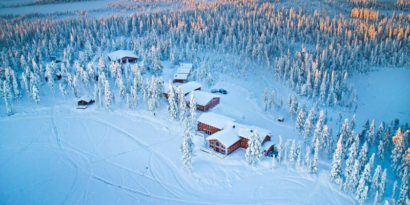 Pinetree Lodge Lapland