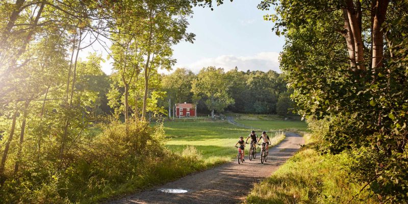 Zweden-zomer-fietsen-met-de-familie