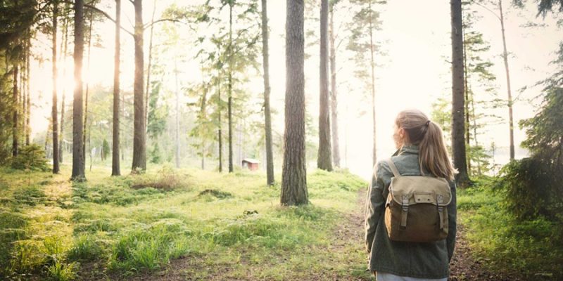 Zweden-zomer-wandelen-in-het-bos