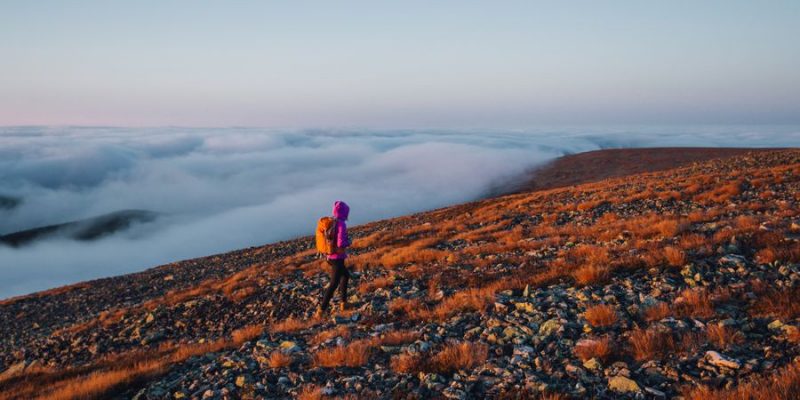 hiken in Pallas national park in Finland