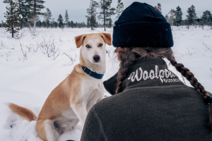 Vêtements Laponie hiver