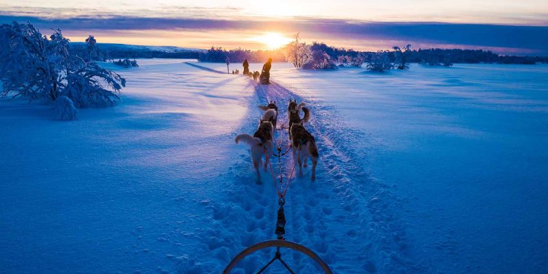 huskytocht-in-lapland