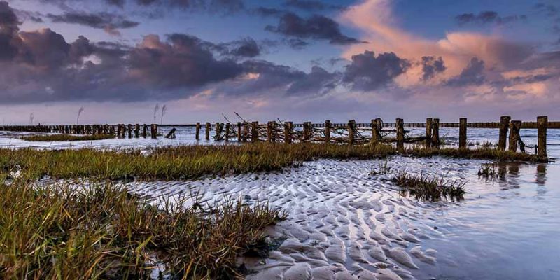 Mandø-Ebbevej-au-Danemark