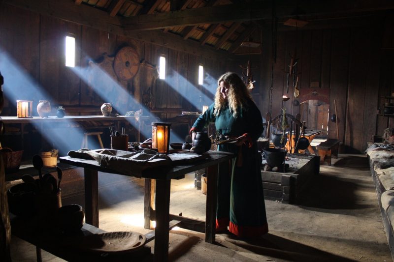 centre viking de ribe