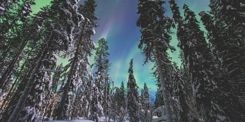 Aurores boréales en Laponie avec Nordic