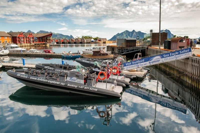 Arenden spotten op RIB-safari