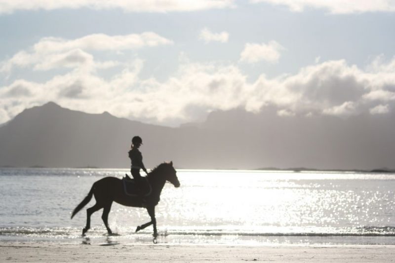 Te paard de Lofoten ontdekken