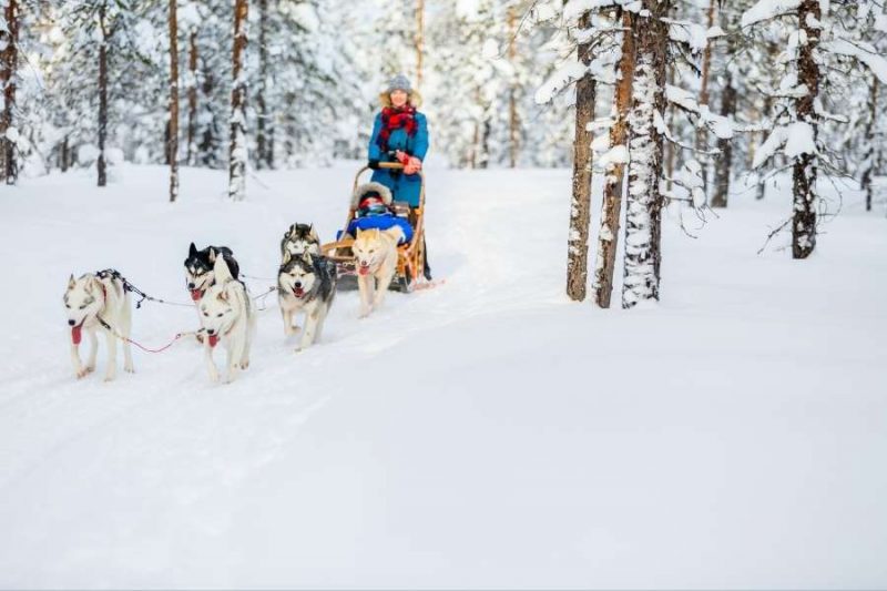 Tour avec husky Laponie Hiver - voyages avec Nordic