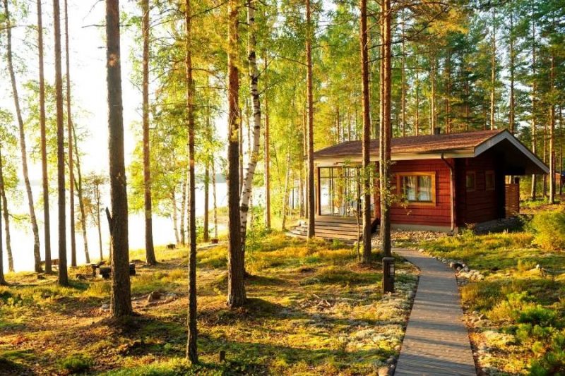 Relaxen-in-een-bos-in-Finland-Copyright-Anneli-Hongisto-Nordic