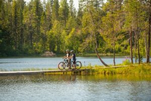 Aan de Pinetree Lodge kan je heerlijk mountainbiken in de bossen.
