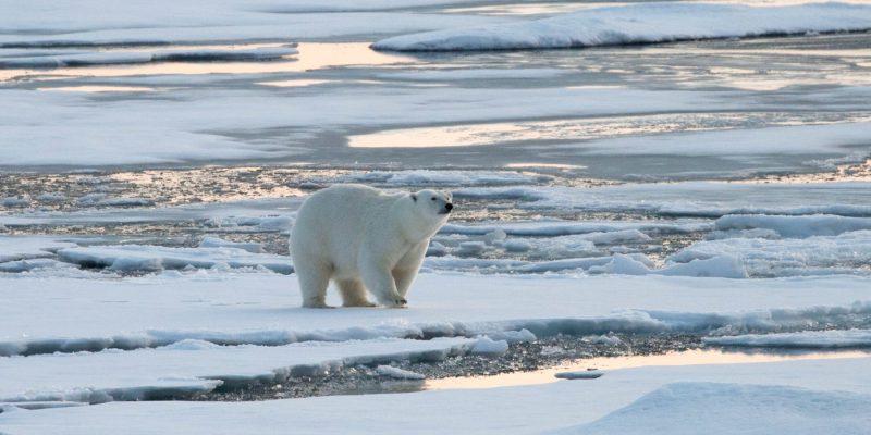 voyage d'exploration