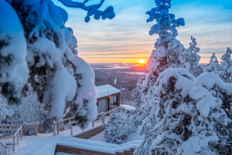 Een cabin van de Lapland View Lodge  gezien door besneeuwde boomtakken