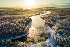 Vaattunki Wilderness Resort - Laponie