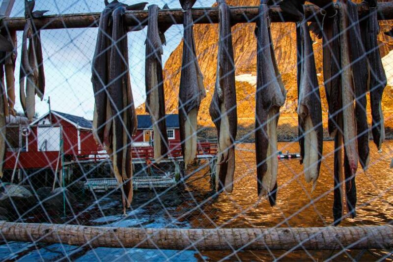 saveur des îles lofoten