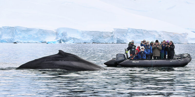 voyage d'exploration Antarctique