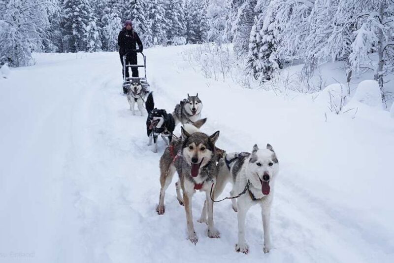 Kurula's Resort à Pyhä en Laponie finlandaise avec Nordic