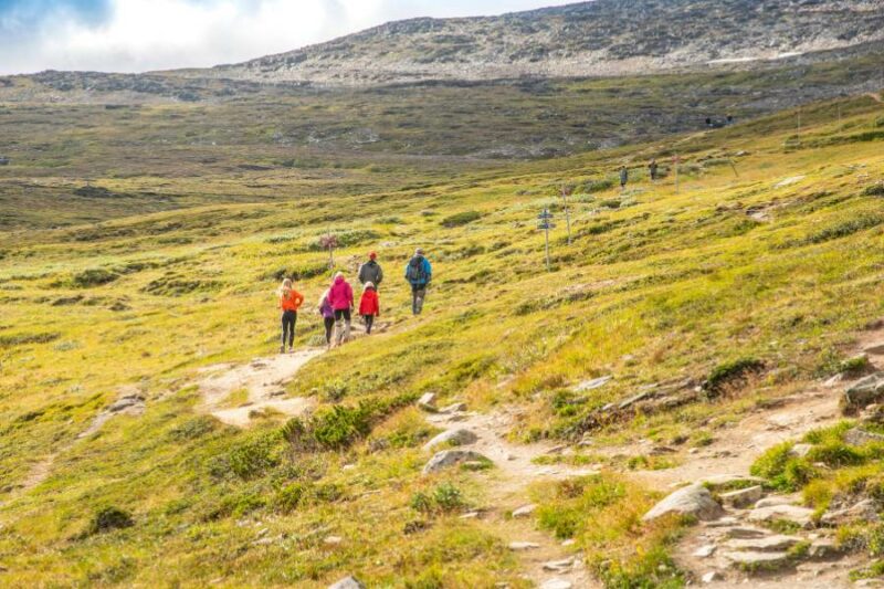 Randonnées en Laponie en été avec Nordic