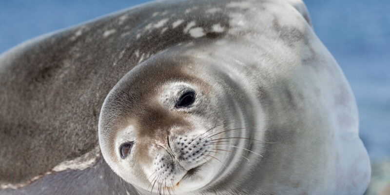 Plus beaux voyages en mer