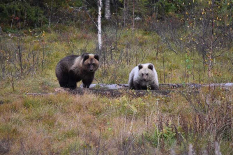 Plus belle randonnée Finlande