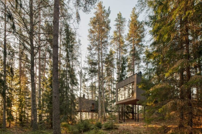 Trakt Forest Hotel - Suède