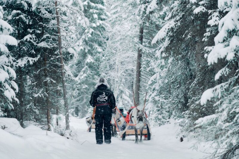 Kaamos Lodge, Laponie finlandaise avec Nordic - rennes
