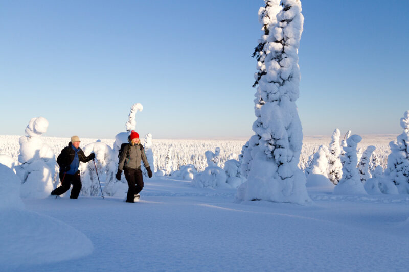 raquettes en Laponie avec Nordic