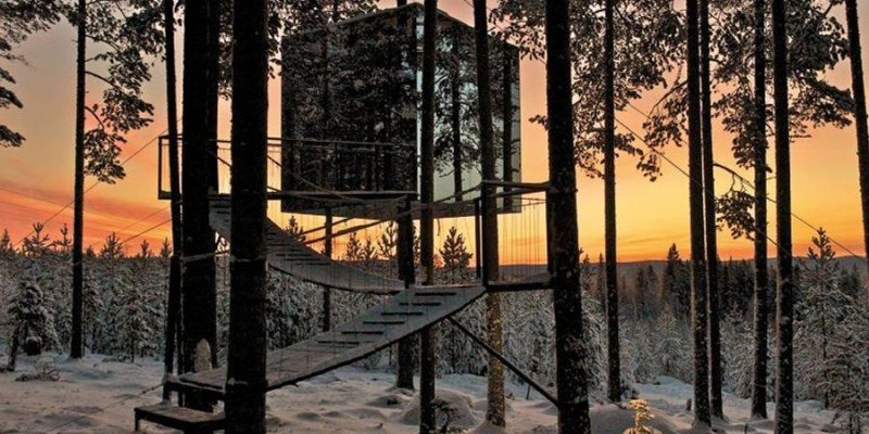 Mirrorcube-cabane-dans-les-bois-Treehotel